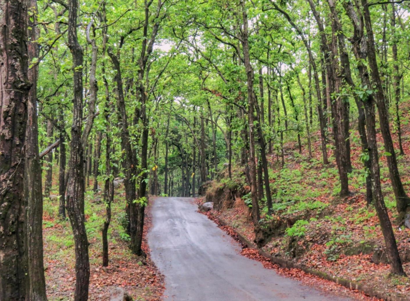 Studio di trucco professionale con illuminazione da set fotografico e palette di colori